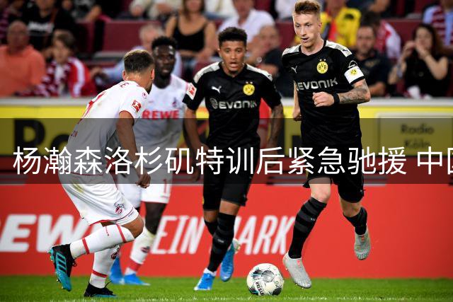 杨瀚森洛杉矶特训后紧急驰援 中国男篮世预赛迎战西亚劲敌